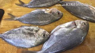 🐟 How to cook Butterfish 🐟 [upl. by Ecinue]