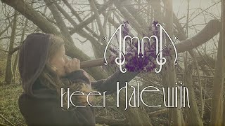 AmmA  Heer Halewijn epische ballade [upl. by Yeslaehc973]