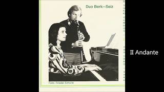 Franz Schubert  Sonatine op137  3  Duo BerkSeiz  1 [upl. by Tteirrah501]