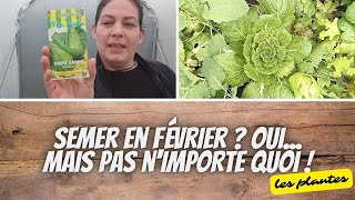 👩‍🌾 Semer en février  Trop tôt  Trop froid [upl. by Schiffman]