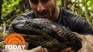 Eaten Alive By Anaconda Why I Did It  TODAY [upl. by Gibbon]