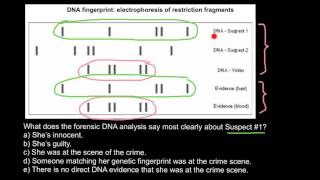 Forensic Genetics basics [upl. by Lirbaj]