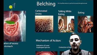 Belching  Which Diseases Cause Belching [upl. by Elleinod111]