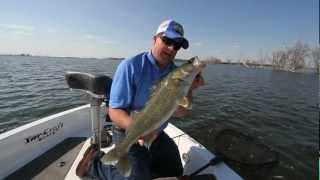 Casting Soft Plastics for Walleye [upl. by Owain]