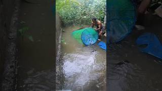 കൂട് വല എടുത്തപ്പോൾ 😯fishtrap [upl. by Ydnagrub]