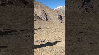 Zanskar valley phugtal monastery Trek [upl. by Odlaner]