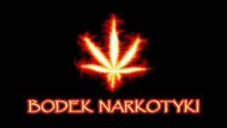 Bodek Narkotyki 34 [upl. by Gibun]