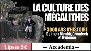 Les Civilisations Oubliées épisode 1  La Culture des Mégalithes [upl. by Mathe701]