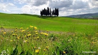 La VAL DORCIA vista da PIENZA  Tuscany  Full HD [upl. by Ahsilek]