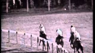 1964 Cheltenham Gold Cup Arkle and Mill Houseavi [upl. by Kimberley]