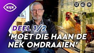 Te hoge BLOEDDRUK door KRAAIENDE HAAN van buurman  Mr Frank Visser Doet Uitspraak  KIJK [upl. by Joletta87]