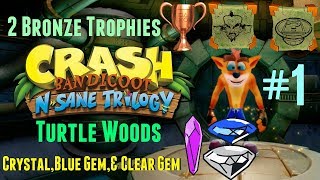 Crash Bandicoot 2 Turtle Woods Crystal amp Both Gems PS4 [upl. by Floss372]