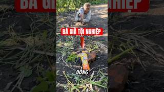 Bà Lão Đáng Thương Không Thể Lấy Đồ Ăn cuocsong tiktok shortvideo [upl. by Esmerolda107]