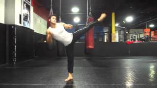 Roundhouse kick tutorial [upl. by Sirahs129]