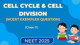 Cell cycle and cell division ncert exemplerClass 11NEET 2025ncert based mcqs [upl. by Ennovart]