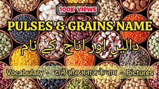 Pulses Name  Pulses and Grains vocabulary  Pulses name in Hindi  Dal k nam vocabulary english [upl. by Neelrihs]