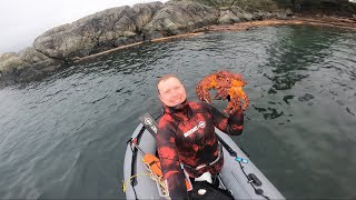 Diving for Puget Sound King Crab [upl. by Rafaelof641]