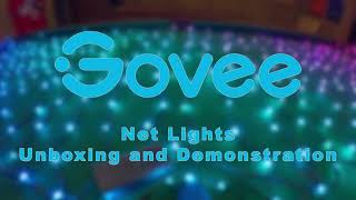 Govee Net Lights Unboxing and Demonstration [upl. by Lusty461]