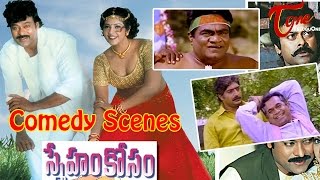 Sneham Kosam Movie Comedy Scenes  Back to Back  Chiranjeevi  Meena [upl. by Colfin753]