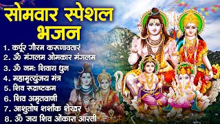 Non Stop Beautiful Shiv Bhajan  Bhakti Song  Mahadev Bhakti Bhajan  ॐ नम शिवायः  शिव भजन [upl. by Haerle]