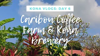 Caribou Coffee Farm amp Donkey Balls Kona Day 6 [upl. by Dosh766]