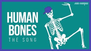 THE HUMAN BONES SONG  Science Music Video [upl. by Lapointe]