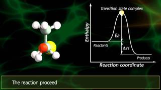 SN2 Reactions  University Of Surrey [upl. by Ruhtua]