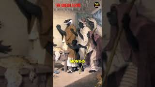 Fear and Folklore The 1818 Obeah Scare in Jamaica [upl. by Salocin]