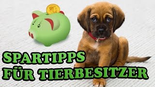 Tipps wie ihr Kosten als Tierbesitzer reduzieren könnt Spartipps Hund  Katze  Kleintier [upl. by Servetnick]