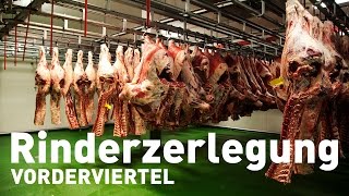 Rinderzerlegung  Teil 1 Vorderviertel [upl. by Arella]