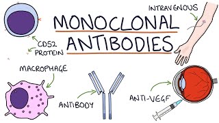 How do monoclonal antibodies work Rituximab infliximab adalimumab and others [upl. by Devon]