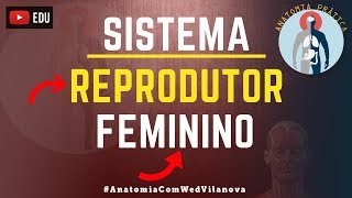 Sistema Reprodutor Feminino Órgãos Genitais Femininos Anatomia Prática [upl. by Esinyt651]