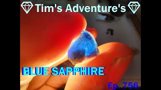 SECOND DIG OF SAPPHIRES GEMSTONES 💎Tims Adventures💎⛏️  Ep 756 [upl. by Adnuahs348]