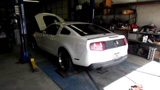 2010 Mustang GT stroker kit LOUD [upl. by Pironi]