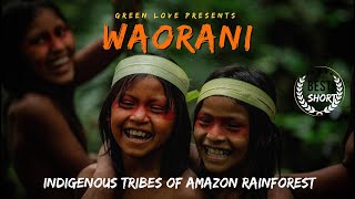 WAORANI  THE INDIGENOUS TRIBES OF AMAZON RAINFOREST  A DOCUMENTARY  SHORT FILM  BASANT HANTAL [upl. by Husha]