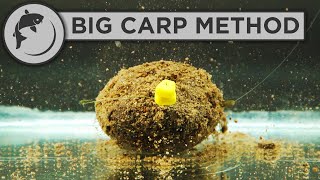 How To Fish The Method Feeder For BIG CARP [upl. by Torre]