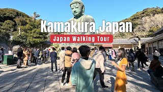 Kamakura Daibutsu Walking Tour 4K JAPAN 2024 New Years Day Kamkura Great Buddha [upl. by Jarlen296]