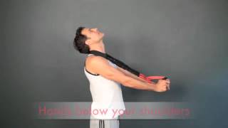 Pro Lordotic Neck Exerciser with Adam Fields DC [upl. by Pippy]