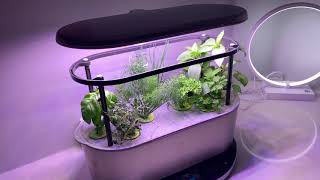 How Fast AeroGarden Grows Bounty Elite  Stainless Steel Alexa Enabled [upl. by Castora]