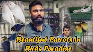 Birds Paradise Setup Tour  PBI Official [upl. by Thynne]