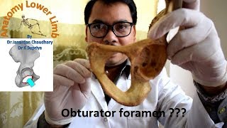 Obturator foramen [upl. by Millda840]