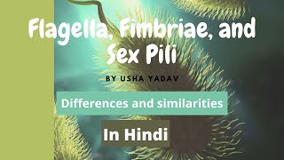 Differences vs Similarities in case of Flagella Fimbriae and Sexpili  microbiology [upl. by Yssak132]