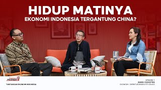 HIDUP MATINYA EKONOMI INDONESIA TERGANTUNG CHINA [upl. by Nesnar]