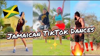 NEW JAMAICAN TIKTOK DANCE MASHUP 2024 [upl. by Amoritta]