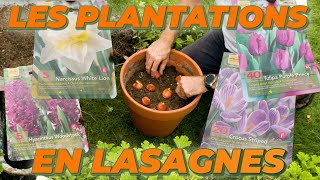 Une Plantation POUR TOUTE LANNÉE  La Plantation En Lasagne  Que Faire Dans Mon Jardin  Sem 38 [upl. by Nanete]