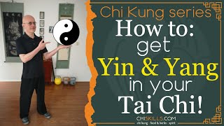 TAI CHI YIN amp YANG physically explained [upl. by Mastrianni]