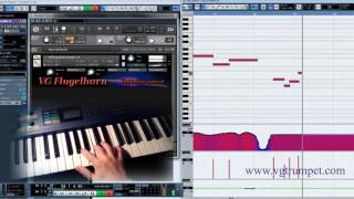 Flugelhorn Kontakt 5 sound library [upl. by Euqirne366]