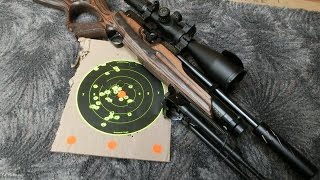 Weihrauch HW100 KT 177 Air Rifle  100 Yard target Shooting [upl. by Anih135]