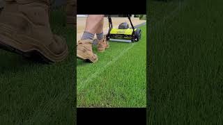 First Mow After Reno ryegrass lawncare [upl. by Eendys]