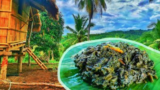 EP05  Nagluto ng quotLaingquot  Life in the Philippines Countryside  Southern Leyte [upl. by Jona]